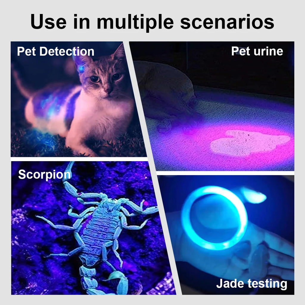 Zelixo USB UV Black Light — Purple Clip Lamp for Glow Party & Halloween Decor