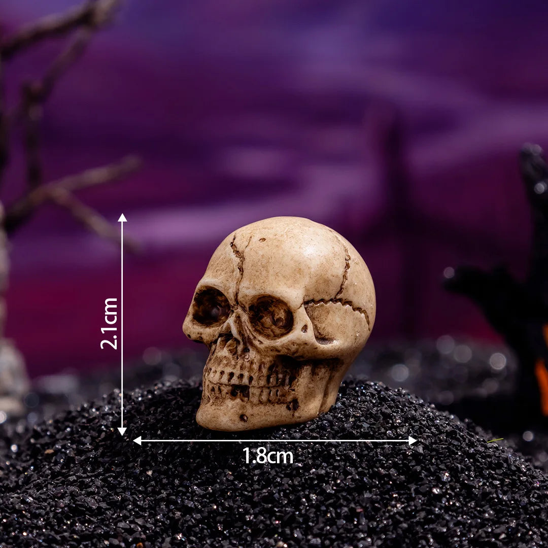 Zelixo Mini Skull Figurines 10pc — Resin Halloween Dollhouse & Terrarium Decor