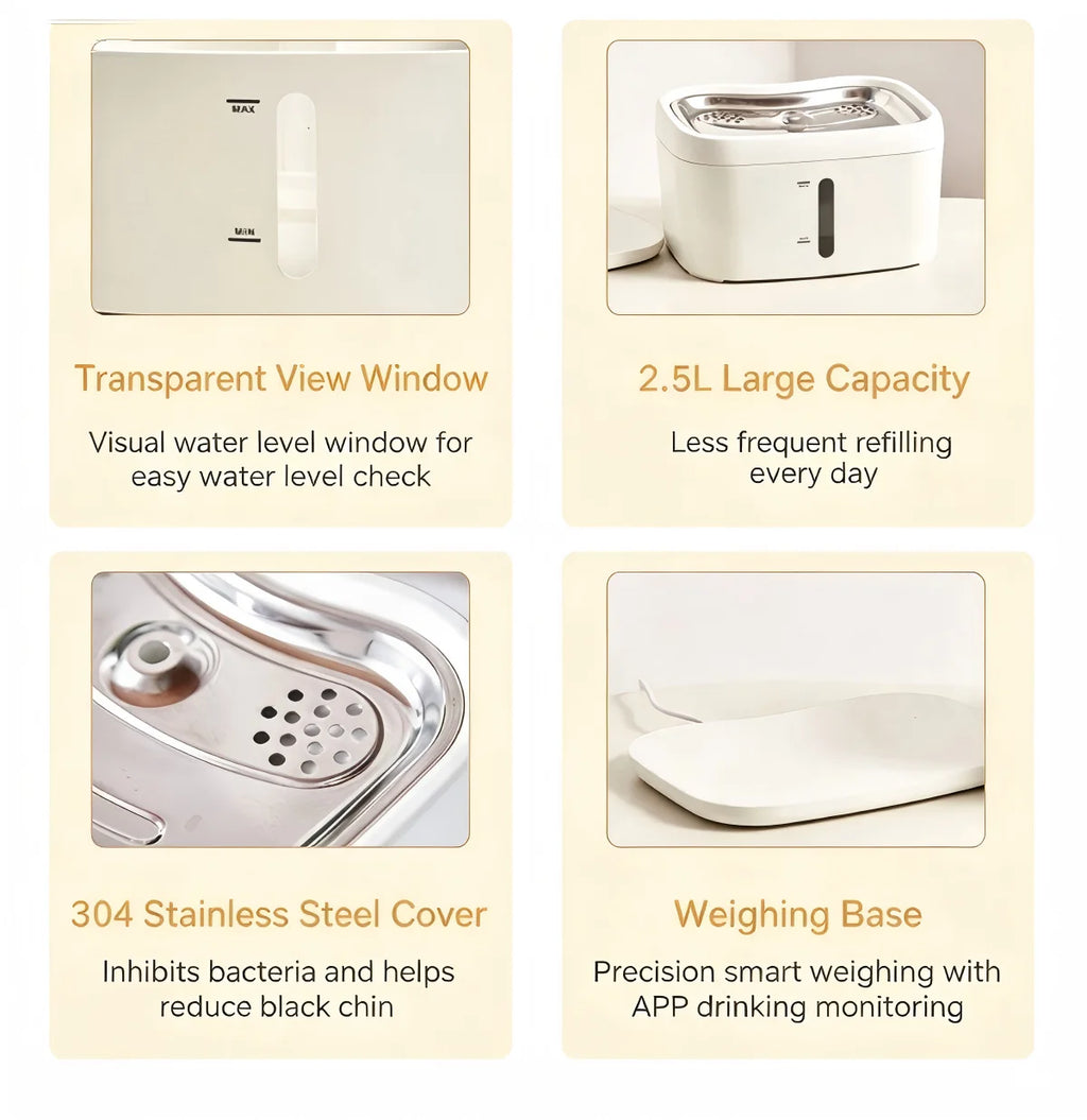 Zelixo Cat Water Fountain — Auto Filter Transparent Recirculating Dispenser