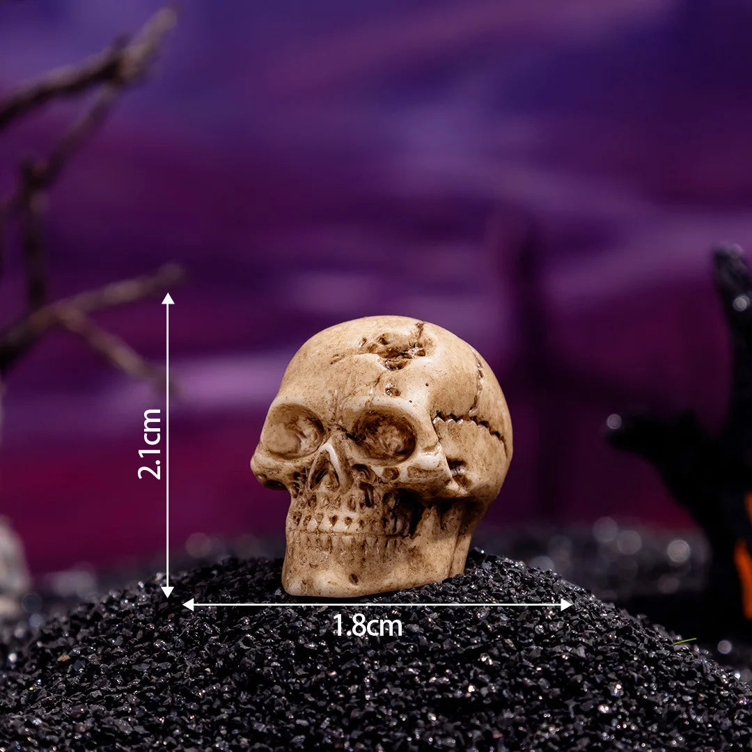 Zelixo Mini Skull Figurines 10pc — Resin Halloween Dollhouse & Terrarium Decor