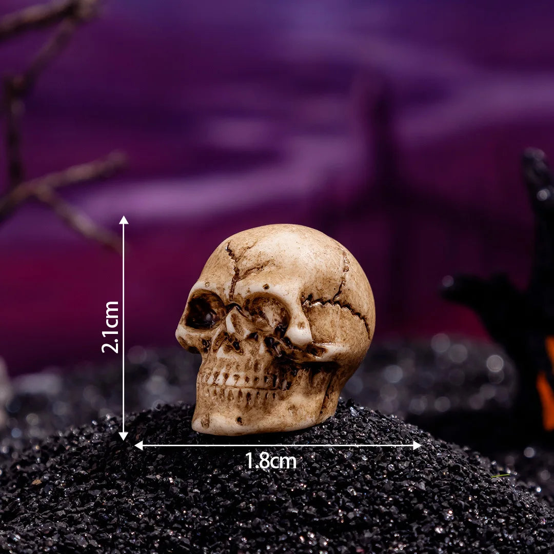 Zelixo Mini Skull Figurines 10pc — Resin Halloween Dollhouse & Terrarium Decor