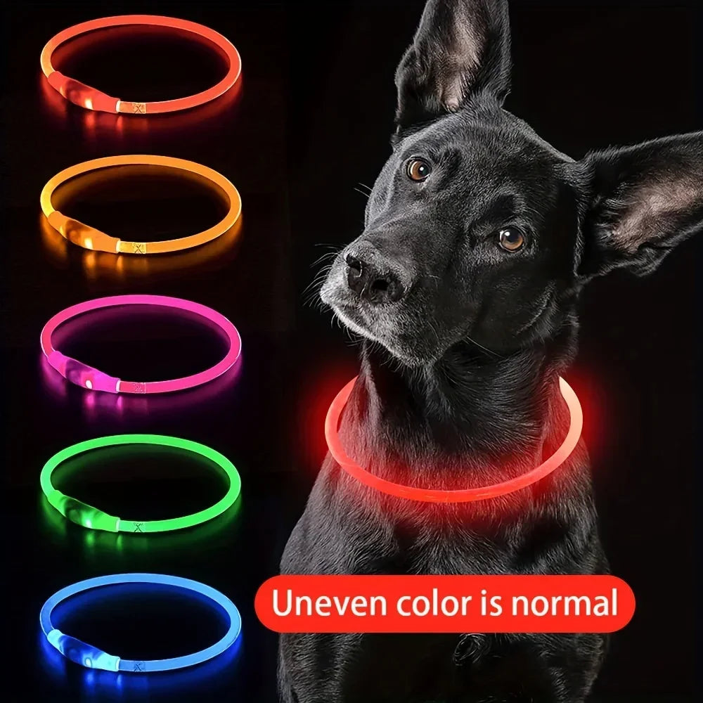 Zelixo LED Fiber Optic Dog Collar — USB Rechargeable Safety Light Collar