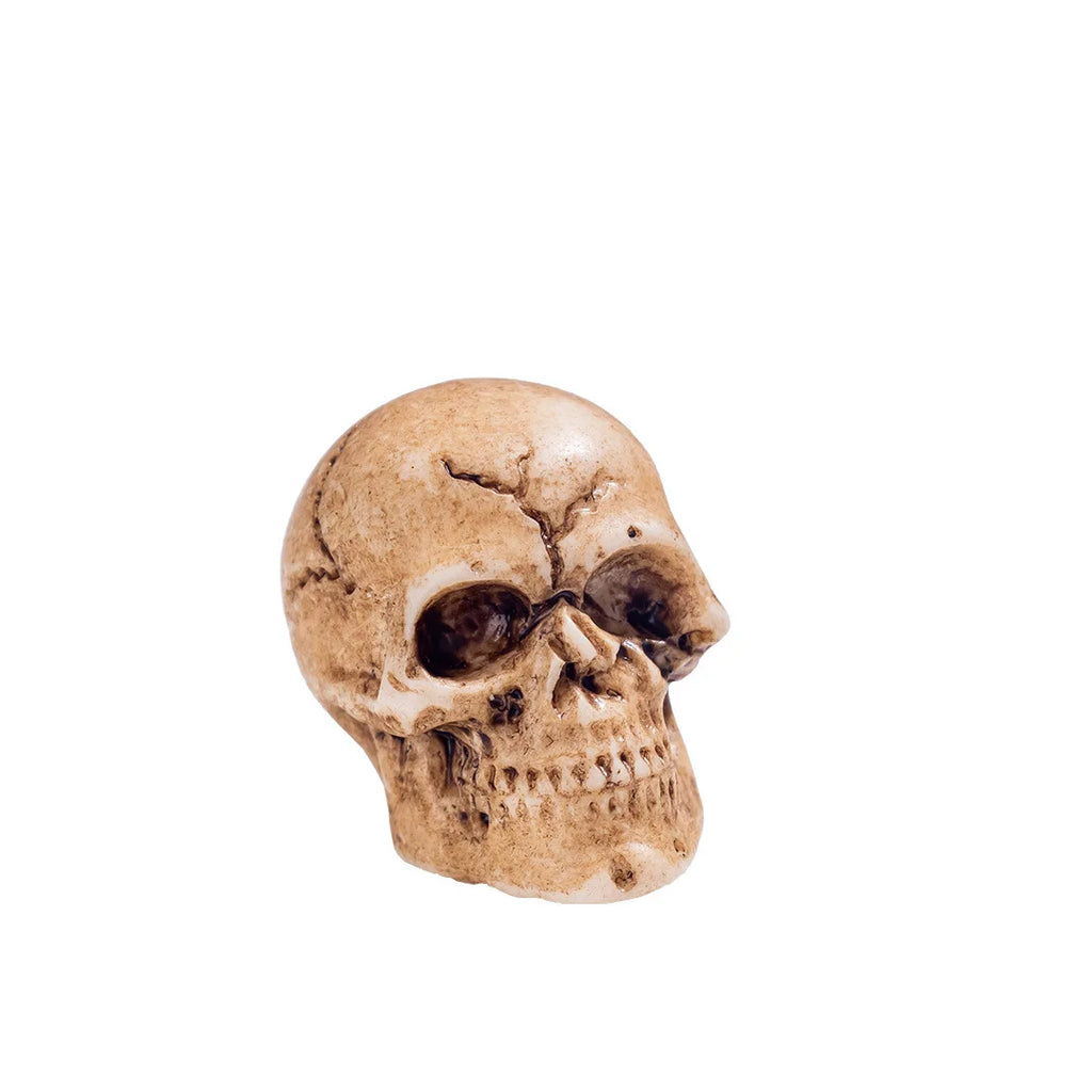Zelixo Mini Skull Figurines 10pc — Resin Halloween Dollhouse & Terrarium Decor