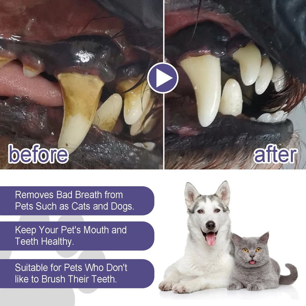 Zelixo Pet Teeth Cleaning Gel Pen — Fresh Breath & Tartar Removal for Dogs