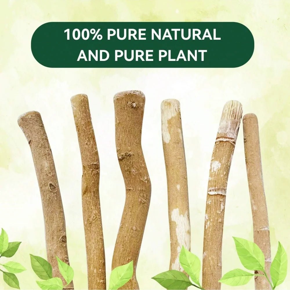 Ultra-Thin Natural Branch Miswak Toothbrush Stick Organic Wooden Slim Minimalist Gentle Bristles Gentle Bristles Zero-Waste Gift - Zelixo.shop